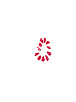 Bit of Swiss Logo with white text Bit of Swiss white triangle red circle of dots in center of triangle