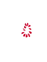 Bit of Swiss Logo with white text Bit of Swiss white triangle red circle of dots in center of triangle